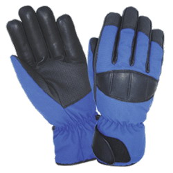 Ski Gloves